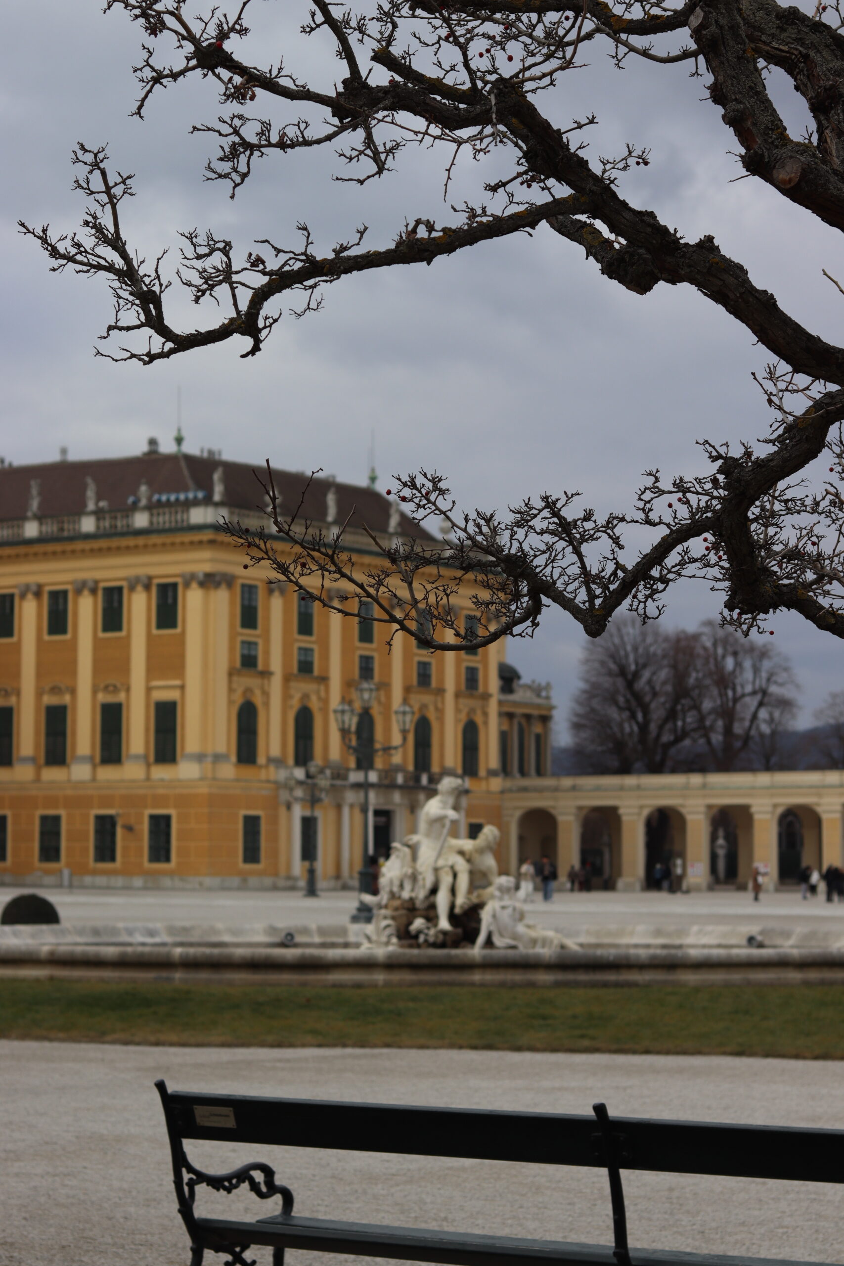 Vienna 🇦🇹